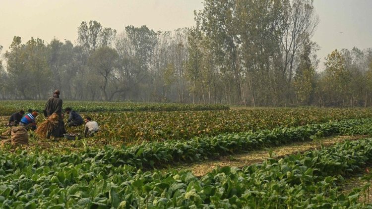 In India sospesa la riforma agraria