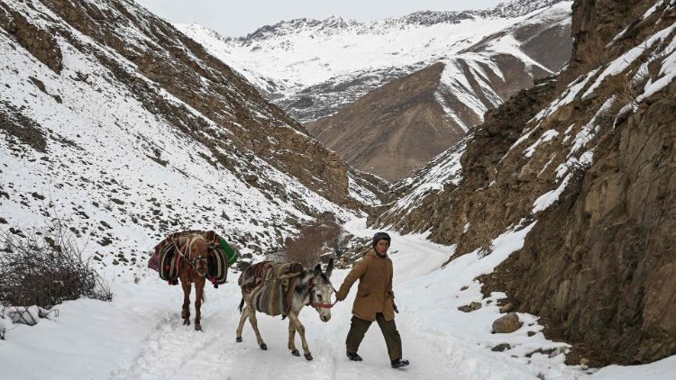 Ein Junge führt einen Esel und ein Pferd über einen schneebedeckten Hügel in Panjshir am 12. Januar.