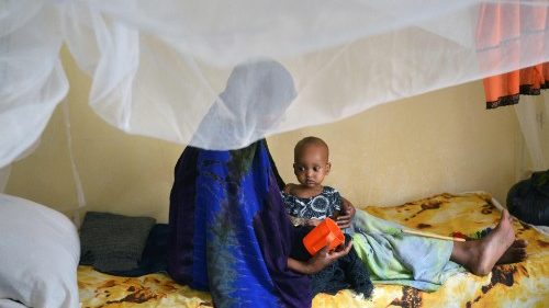 População no Chifre da África sofre com a sede e desnutrição, alerta CESVI