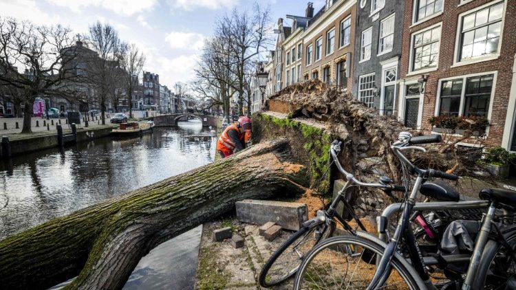 Damage following storm Eunice in the Netherlands
