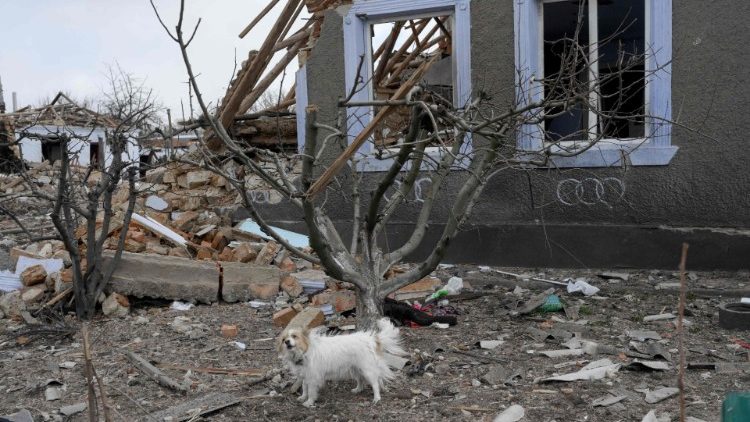 Un perro ladra frente a una casa que fue destruida por las fuerzas rusas 