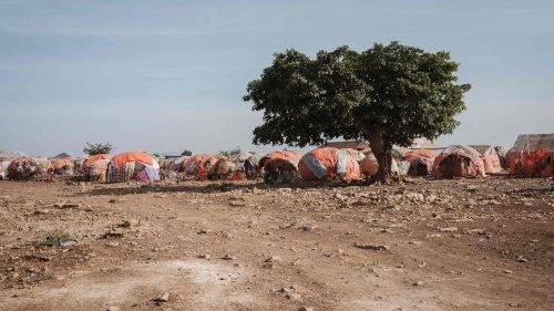 Le Pape invite à ne pas oublier la Somalie, frappée par une grave sécheresse