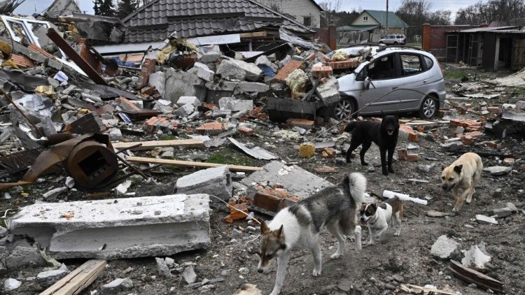 Ein zerstörtes Haus in Bohdanivka östlich von Kiew, am Dienstag