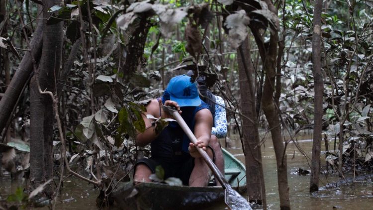 Nicht nur unübersichtlich, was die Natur und Vegetation betrifft: in dem Indigenengebiet treiben illegale Fischer, Holz- und Drogenhändler ihr Unwesen