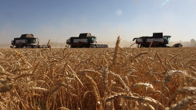 Un campo di grano nei pressi della regione di Donetsk (Stringer/Afp)