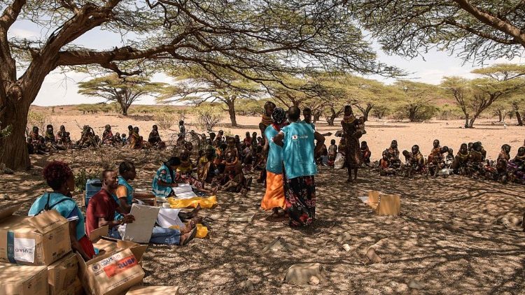 Quatro temporadas consecutivas de chuvas fracas deixaram milhões de pessoas à mercê da fome no Quênia, Somália e Etiópia. (Foto de Simon MAINA/AFP)