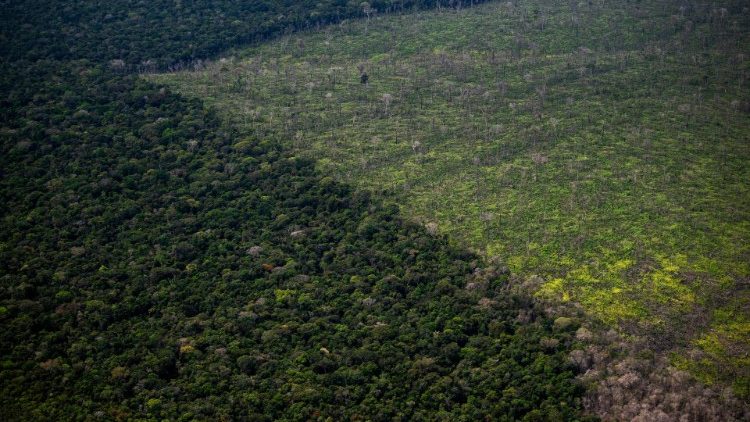 Deforestazione in Amazzonia 