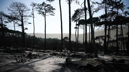 Incendies en Gironde, le Secours catholique aux côtés des pompiers et sinistrés