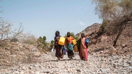 WHO Chief: Tigray worst disaster on Earth