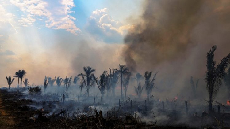 Abholzung in Brasilien, menschengemacht