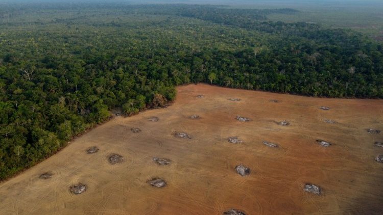 La deforestación sigue siendo la principal amenaza para los territorios amazónicos