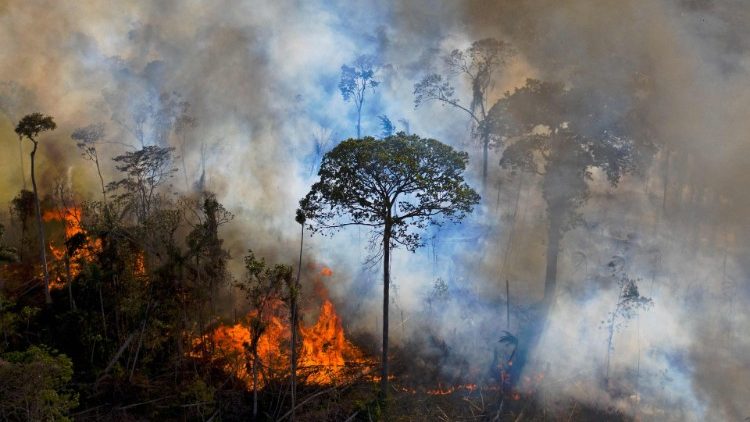 En août 2020, un feu sur un site d'exploitation illégal dans l'Amazonie brésilienne. 