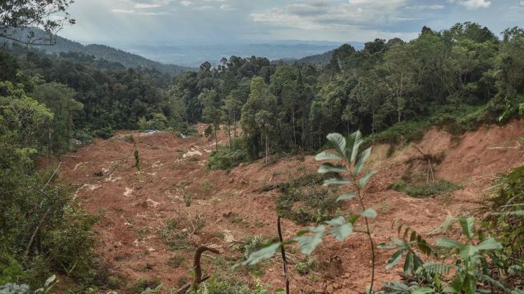 Glissement de terrain à Batang Kali dans l'État de Selangor (Malaisie), où les recherches de victimes se sont poursuivies jusqu'au 24 décembre 2022. 