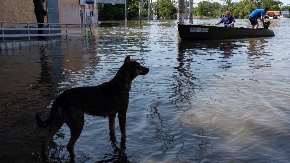 Residentes locais s?o vistos em um barco durante uma evacua??o de uma rea inundada em Kherson em 7 de junho de 2023, aps a destrui??o da barragem da usina hidreltrica de Kakhovka. Mais de 2.700 pessoas foram evacuadas em ambos os lados do rio Dnipro das inunda??es causadas pela destrui??o da barragem Kakhovka ocupada pelos russos na Ucr?nia, disseram autoridades em 7 de junho de 2023. (Foto de ALEKSEY FILIPPOV / AFP)