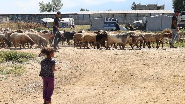 A young Syrian girl in a refugee camp in eastern Lebanon