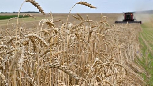 Crisi del grano, il Papa: il grido di chi ha fame sale fino al cielo