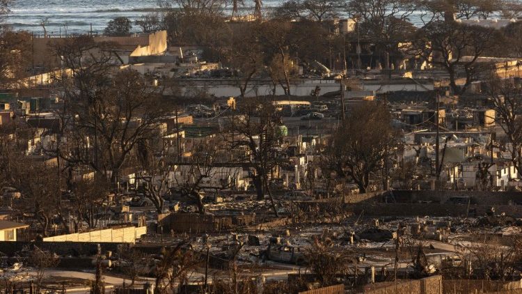 Le conseguenze degli incendi nelle Hawaii (AFP)