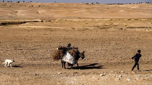 I cambiamenti climatici penalizzano lagricoltura. Raccolti ridotti in Cina e India