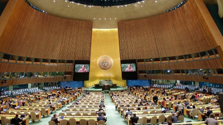 The UN General Assembly