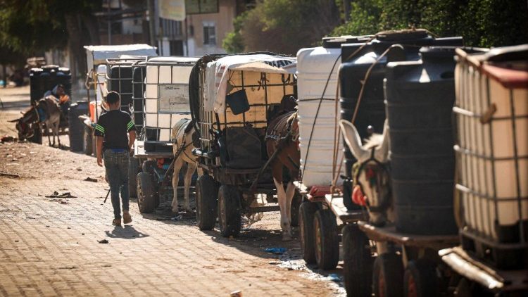 donkey-drawn carts loaded with water tanks for sale as drinking water and fuel run out in Gaza
