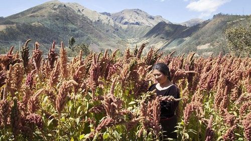 Messaggio Cei: un’agricoltura per la diversità e contro la diseguaglianza