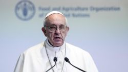 pope-francis-at-fao-1508143728122