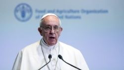 pope-francis-at-fao-1508147392548