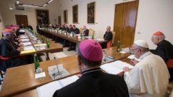 papa--riunione-presinodo-panamazzonico-su-eco-1523707696962.jpg