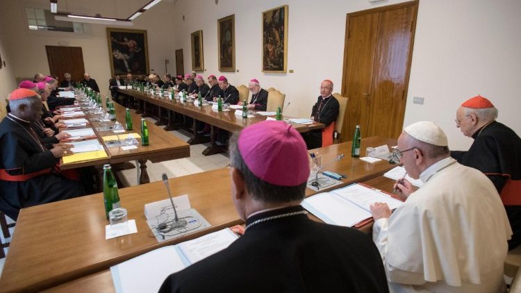 Papa: riunione presinodo Panamazzonico su ecologia integrale 