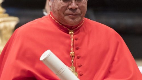 写真ギャラリー：バチカンで行われた新枢機卿の叙任式