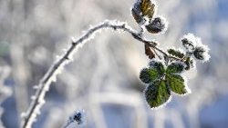 winter-landscape-1543677833443.jpg