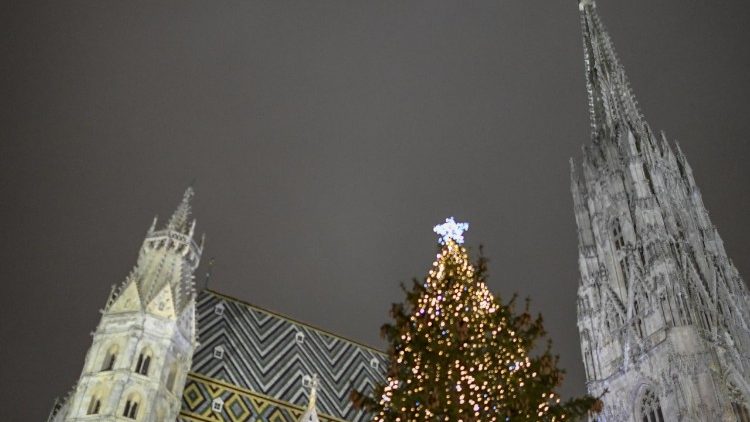 Weihnachtsbaum am Stephansdom