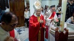 hong-kongs-catholic-church-leader-reverend-mi-1546503227960.jpg