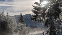 sunny-winter-day-in-austria-1548026027822.jpg