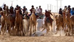 sultan-heritage-festival-in-sweihan-1549123431980.jpg