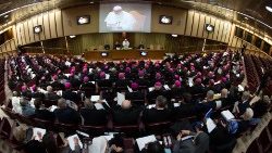 meeting-on-the-protection-of-minors-in-the-va-1550756358837.jpg