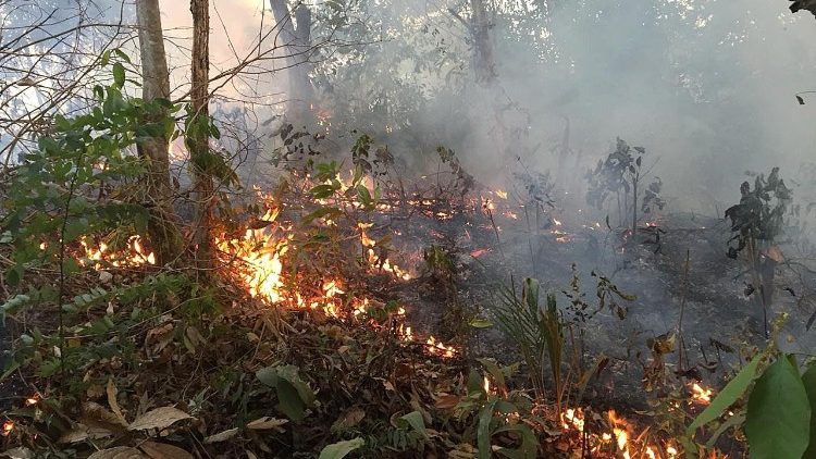Požar v amazonskem pragozdu