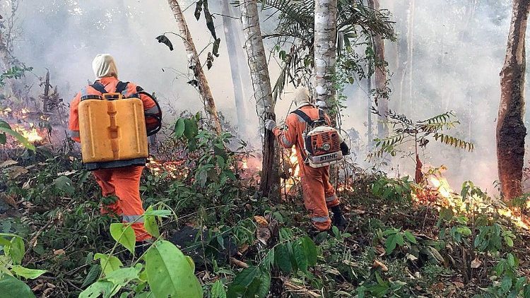 ブラジル・ロンドニア州・ポルトベリョでの森林火災　2019年8月22日