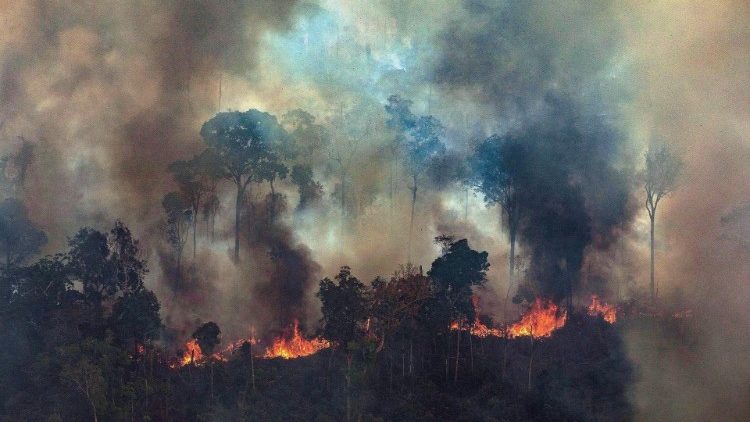 Amazon fire in Brazil