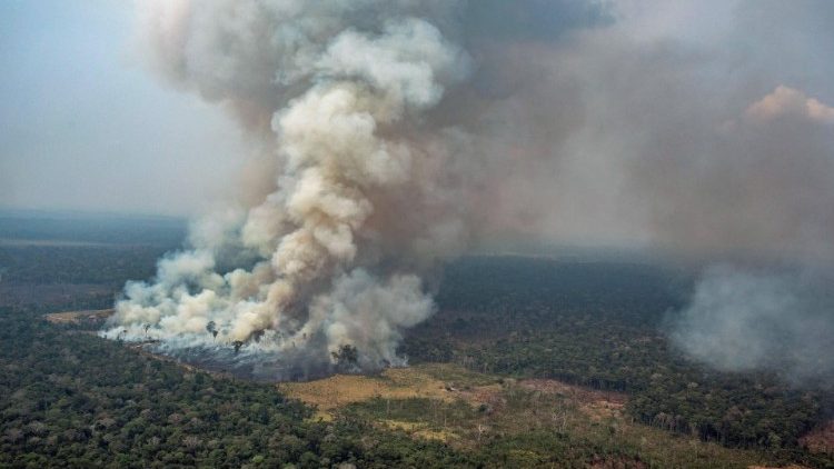 Registro do fogo na região de Novo Progresso, no Pará, feita em 23 de agosto de 2019