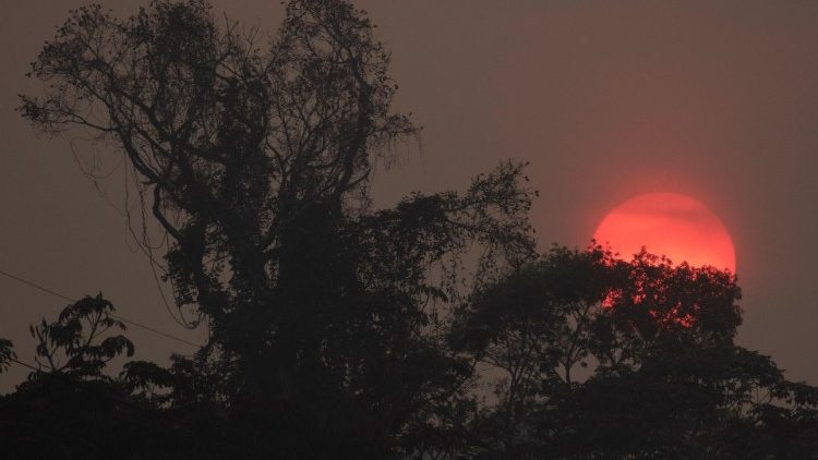 Amazon fires in Brazil - Rondonia region of Amazon, Brazil 26.08. 9