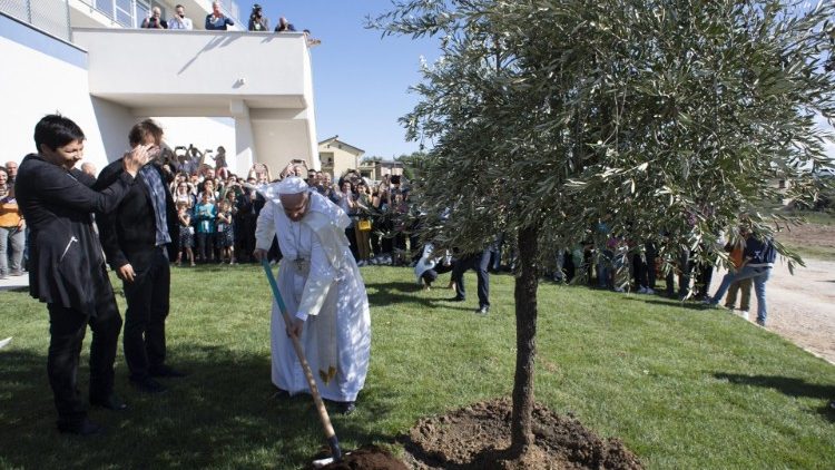 Auf diesem Archivbild pflanzt Papst Franziskus einen Baum in der Gemeinschaft ,Cittadella Cielo' in Frosinone bei Rom, 24.09.2019