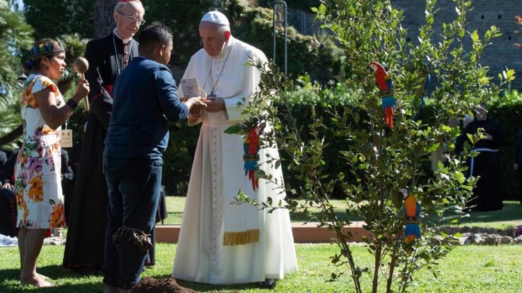 Papež František sází strom ve Vatikánských zahradách 