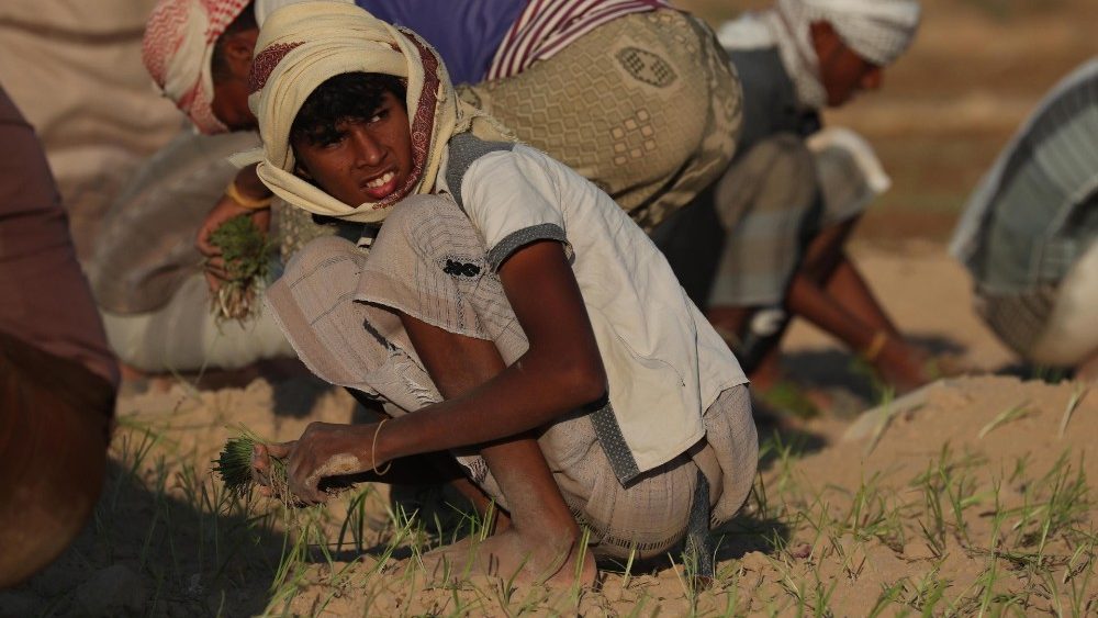 Lavoro agricolo 