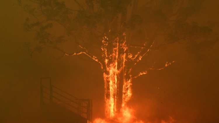 Incendies en Nouvelles-Galles du Sud, le 19 décembre 2019.
