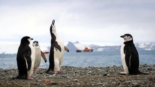 Pour la première fois, la barre des 20°C franchie en Antarctique