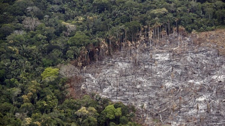 Le 22 février 2020, vue sur la déforestation en cours dans le parc national de Tinigua, dans le département de Meta.