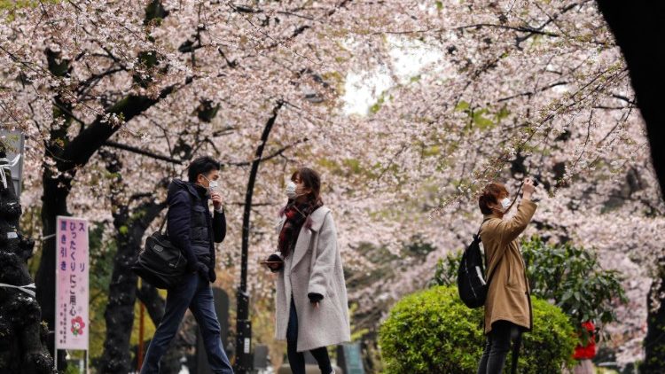 People enjoy cherry blossoms with unseasonable snowfall, despite Covid-19