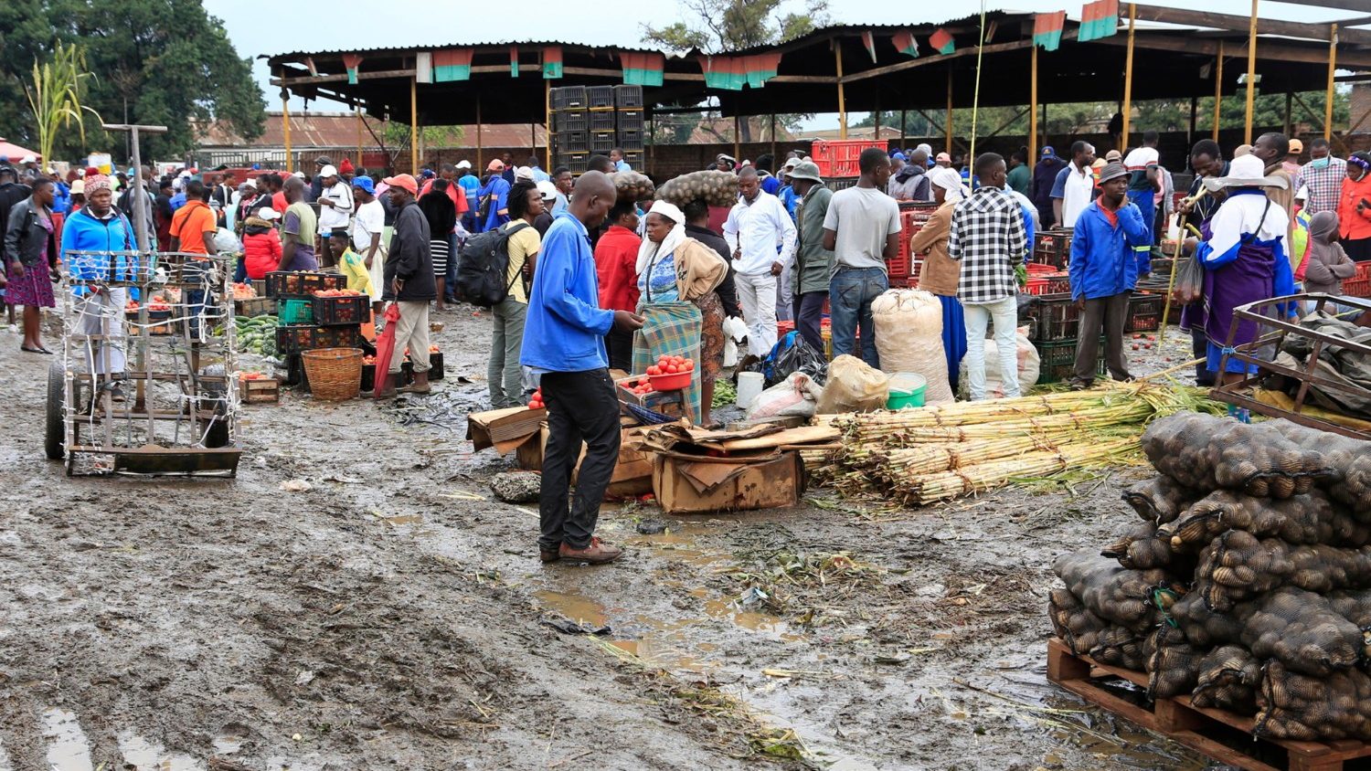 Zimbabwe: Churches mediate between government and opposition - Vatican News