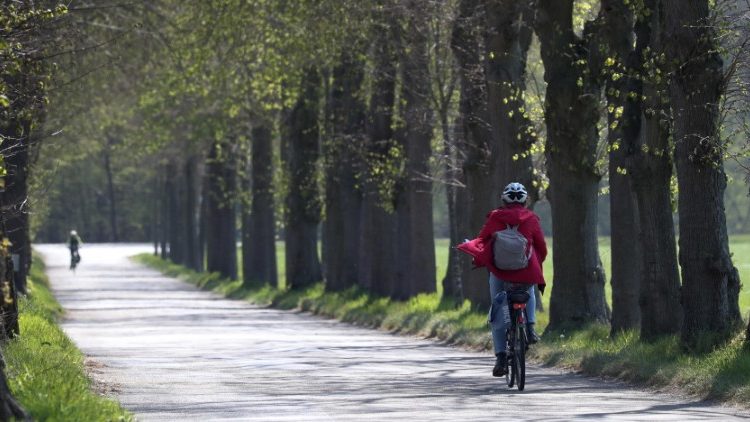 Cyclists enjoy a deserted, sunny avenue near Bramsche, Germany